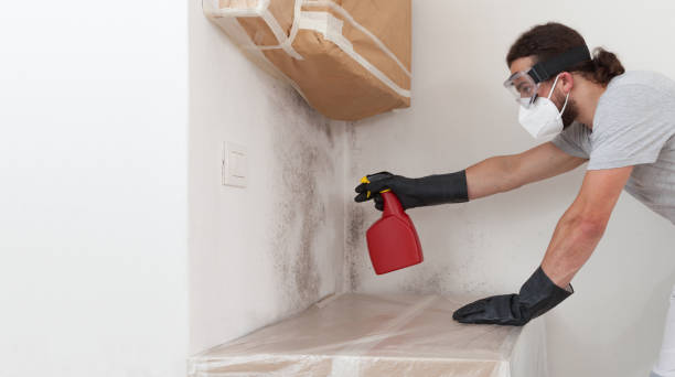 Professional Crawl Space Mold Remediation technician working in Elmwood Park, IL